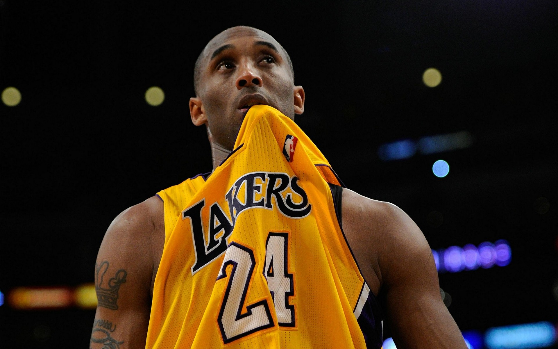 维尼修斯事 维尼修斯事