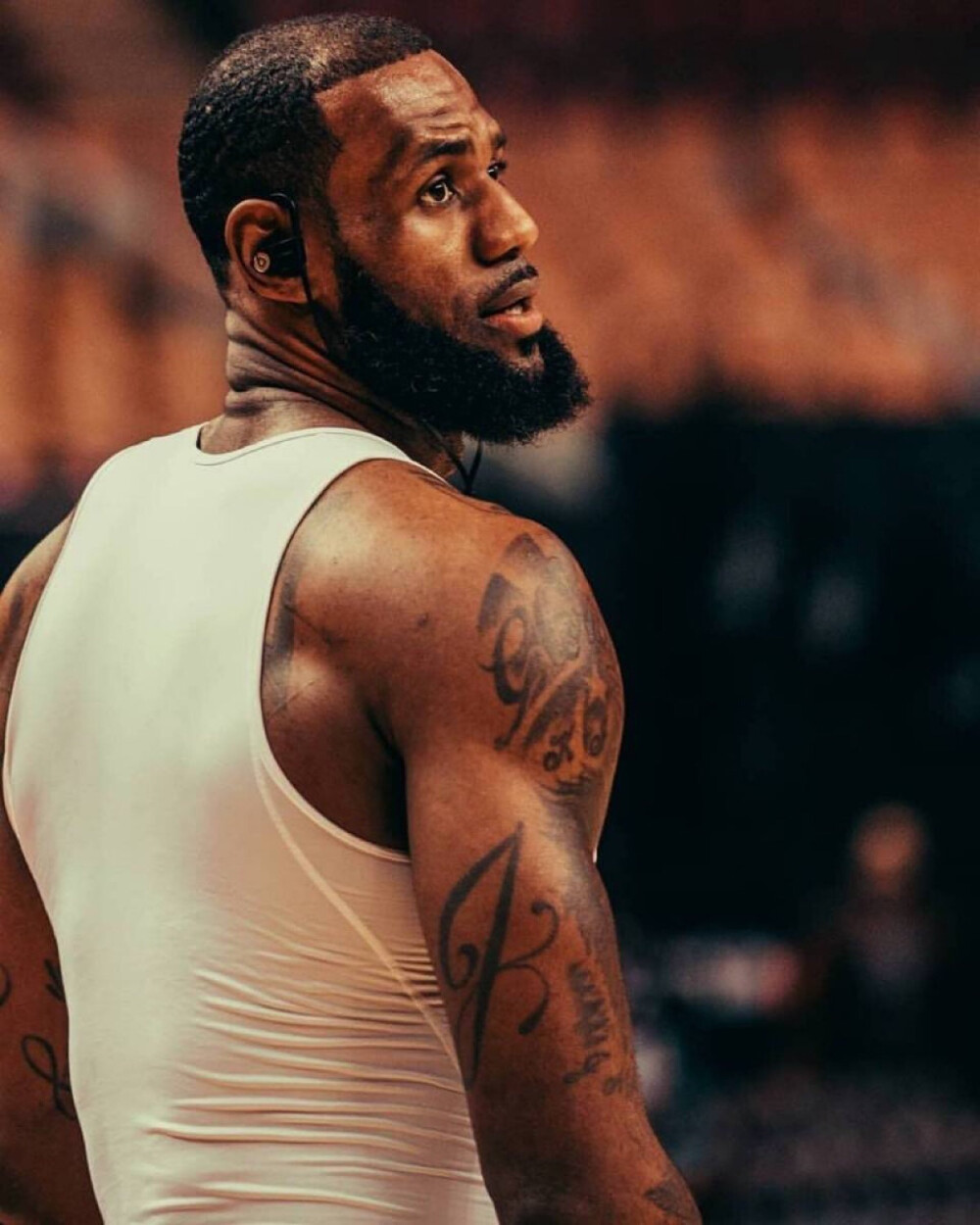 看阵容曲线 看阵容曲线